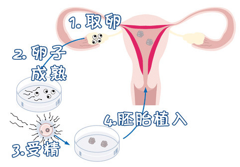 林主任医师